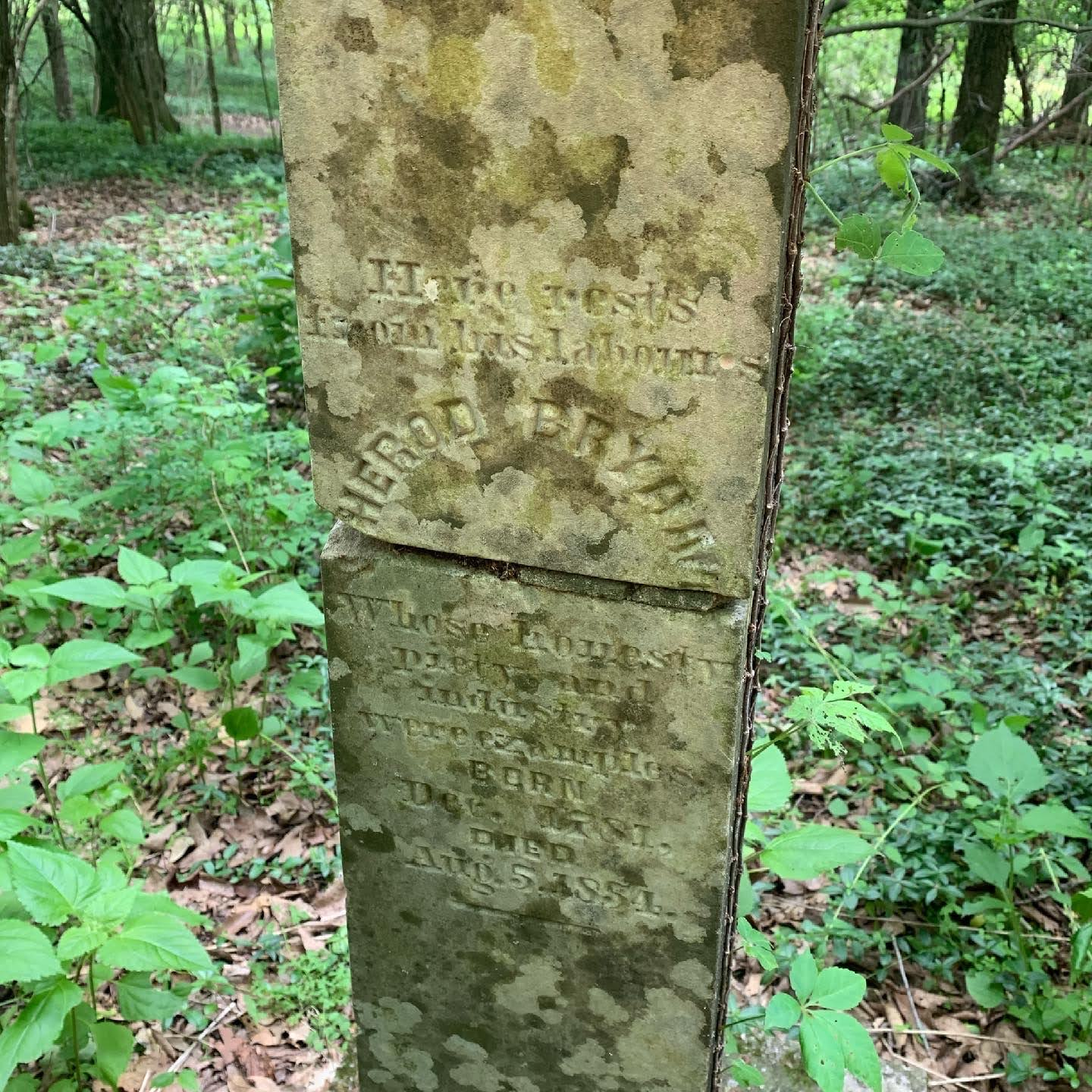 Is Bryant Town Family Cemetery the Oldest Black Cemetery in Nashville?